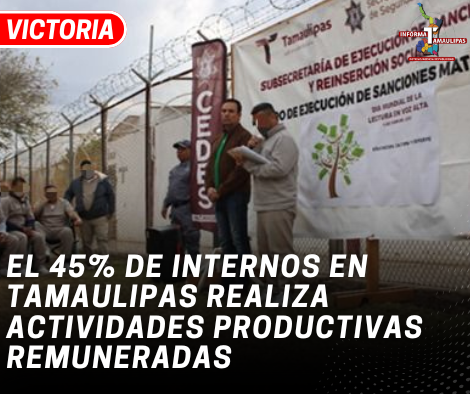 copia-de-copia-de-portada-notas-2-4.png