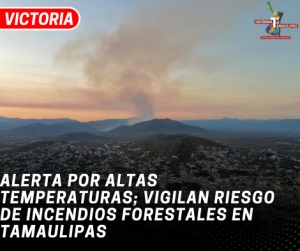 copia-de-copia-de-portada-notas-2-4.png