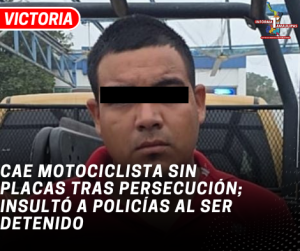 copia-de-copia-de-portada-notas-2-4.png
