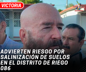 copia-de-copia-de-portada-notas-2-4.png