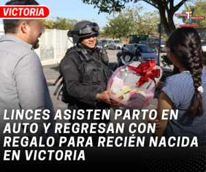 copia-de-copia-de-portada-notas-2-4.png