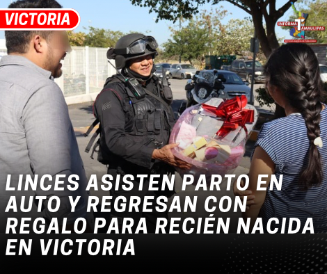 copia-de-copia-de-portada-notas-2-4.png