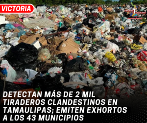 copia-de-copia-de-portada-notas-2-4.png