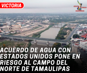 copia-de-copia-de-portada-notas-2-4.png