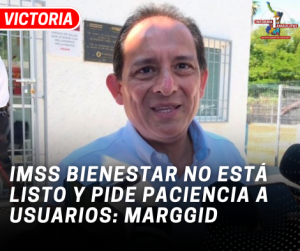 copia-de-copia-de-portada-notas-2-5.png