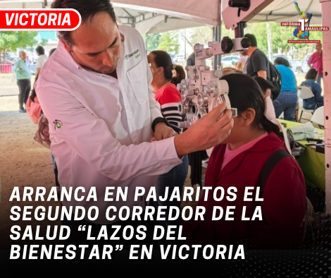 copia-de-copia-de-portada-notas-2-5.png