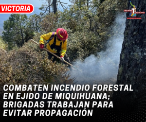 copia-de-copia-de-portada-notas-2-6.png