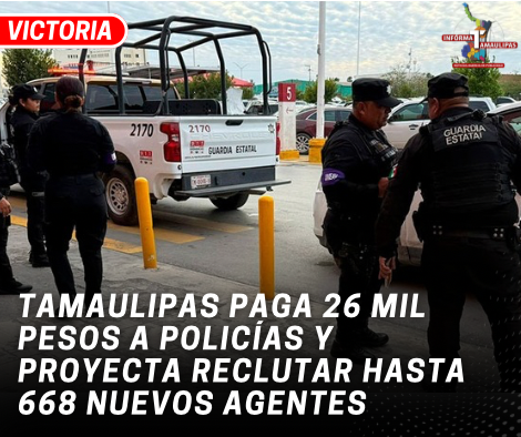 copia-de-copia-de-portada-notas-2-6.png