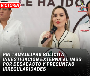 copia-de-copia-de-portada-notas-2-6.png