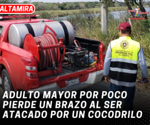 copia-de-copia-de-portada-notas-2-2.png