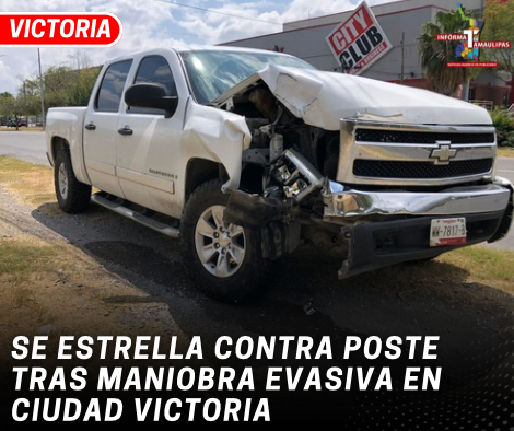 copia-de-copia-de-portada-notas-2-4.png