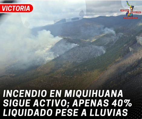copia-de-copia-de-portada-notas-2-4.png