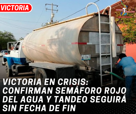copia-de-copia-de-portada-notas-2-4.png