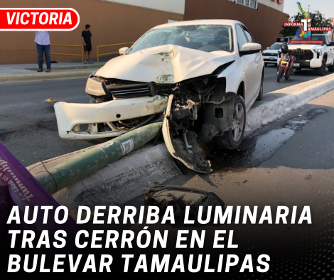 copia-de-copia-de-portada-notas-2-4.png