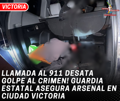 copia-de-copia-de-portada-notas-2-4.png
