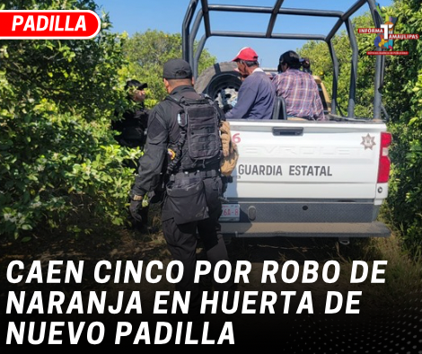 copia-de-copia-de-portada-notas-2-4.png