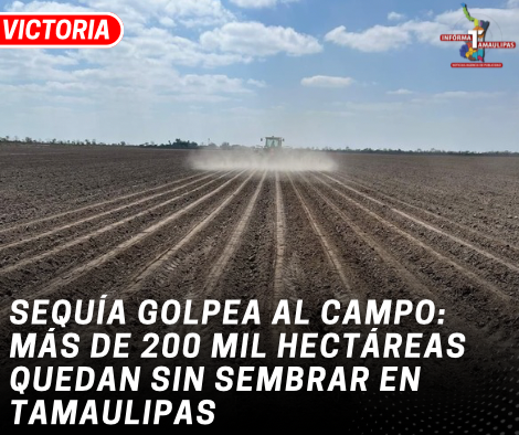 copia-de-copia-de-portada-notas-2-5.png