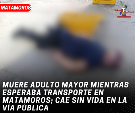 copia-de-copia-de-portada-notas-2-5.png