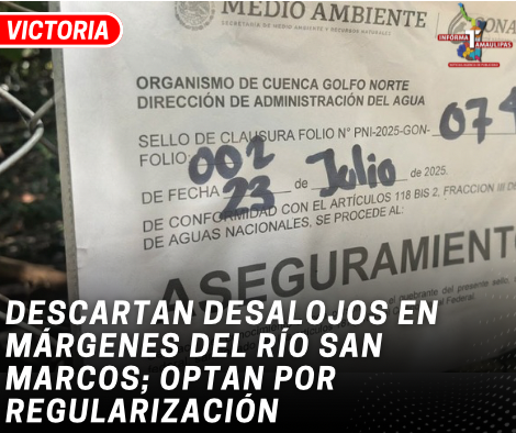 copia-de-copia-de-portada-notas-2-5.png