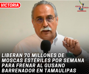 copia-de-copia-de-portada-notas-2-5.png