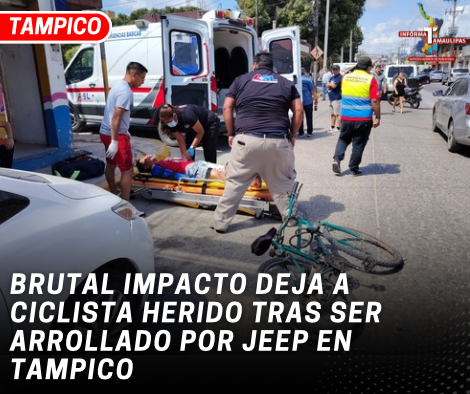 copia-de-copia-de-portada-notas-2-6.png