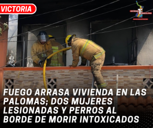 copia-de-copia-de-portada-notas-2-4.png