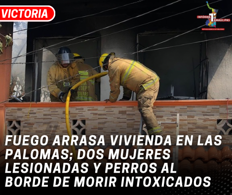 copia-de-copia-de-portada-notas-2-4.png