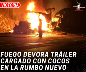 copia-de-copia-de-portada-notas-2-4.png