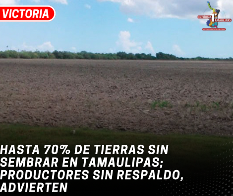 copia-de-copia-de-portada-notas-2-4.png