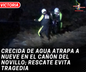 copia-de-copia-de-portada-notas-2-4.png