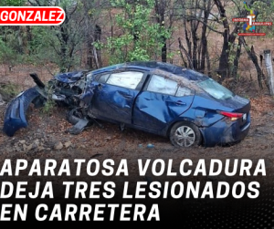 copia-de-copia-de-portada-notas-2-5.png