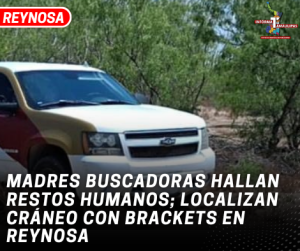 copia-de-copia-de-portada-notas-2-5.png