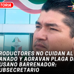 Productores no cuidan al ganado y agravan plaga de gusano barrenador: Subsecretario