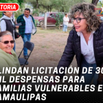 Blindan licitación de 300 mil despensas para familias vulnerables en Tamaulipas