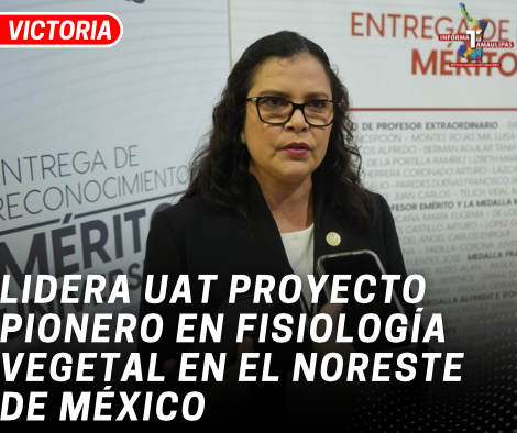 copia-de-copia-de-portada-notas-2-6.png