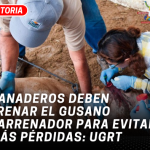 Ganaderos deben frenar el gusano barrenador para evitar más pérdidas: UGRT