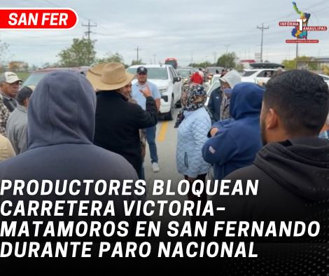 copia-de-copia-de-portada-notas-2-7.png