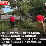 Fuertes vientos desataron contingencias en Ciudad Victoria; Bomberos atendieron caída de árboles y daños en viviendas