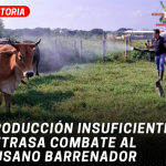 Producción insuficiente retrasa combate al gusano barrenador