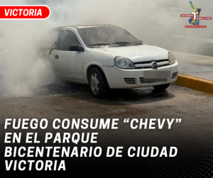 B8E49E54-76C4-4A20-809A-B10AA46B394D