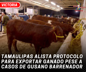copia-de-copia-de-portada-notas-2-13.png