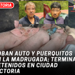 Roban auto y puerquitos en la madrugada; terminan detenidos en Ciudad Victoria