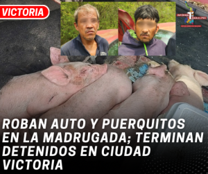 copia-de-copia-de-portada-notas-2-4.png