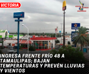 copia-de-copia-de-portada-notas-2-4.png