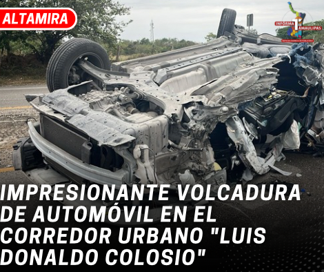 copia-de-copia-de-portada-notas-2-5.png