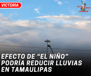 copia-de-copia-de-portada-notas-2-5.png