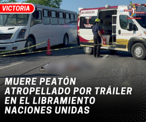 copia-de-copia-de-portada-notas-2-5.png