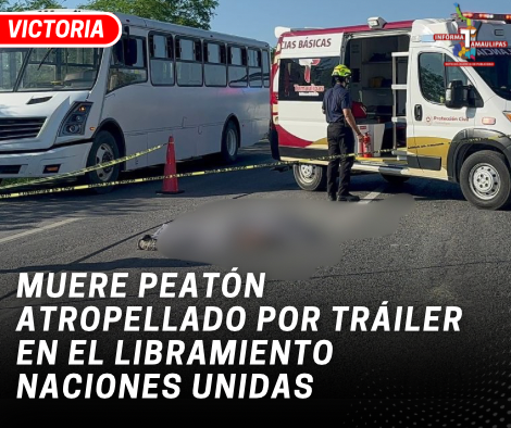 copia-de-copia-de-portada-notas-2-5.png