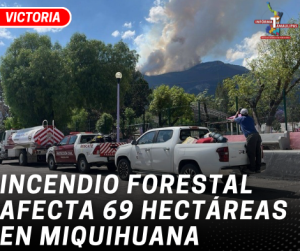 copia-de-copia-de-portada-notas-2-5.png