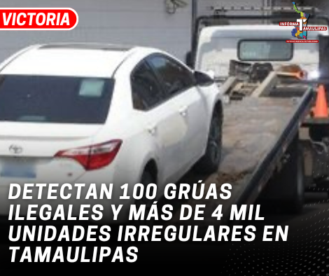 copia-de-copia-de-portada-notas-2-6.png